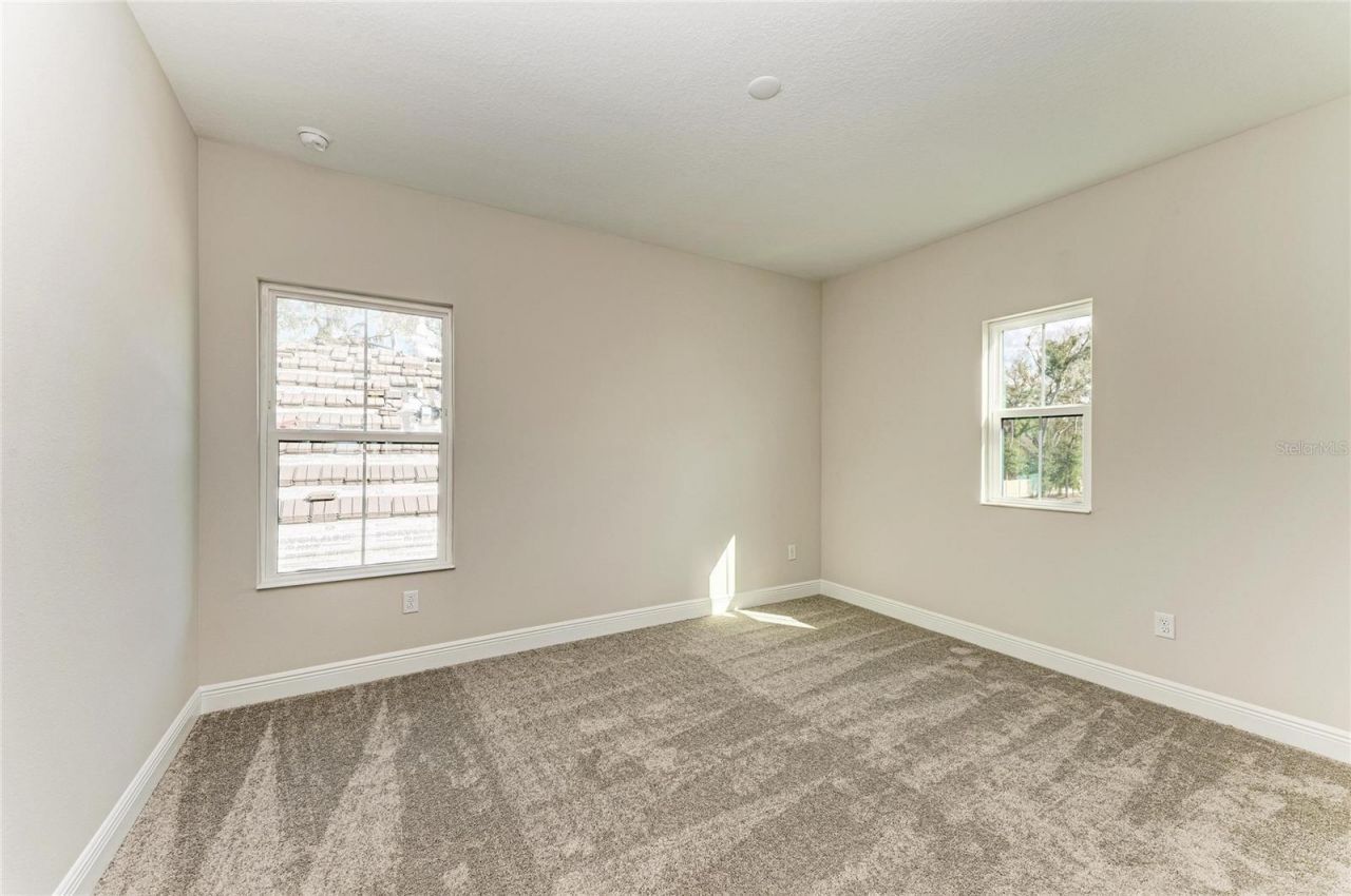 4630 Cedar Fog Ct Drive, Valrico, FL 33596 Photo