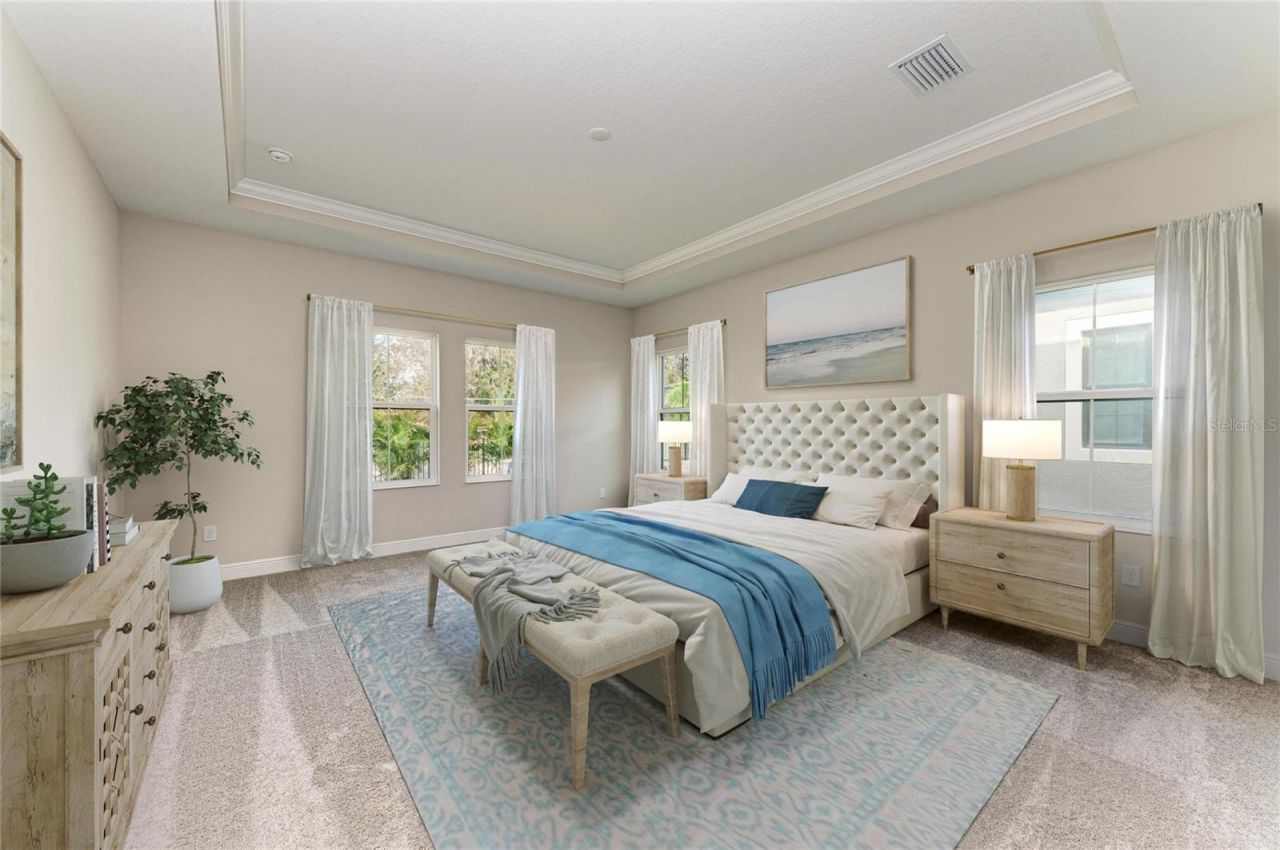 4630 Cedar Fog Ct Drive, Valrico, FL 33596 Photo