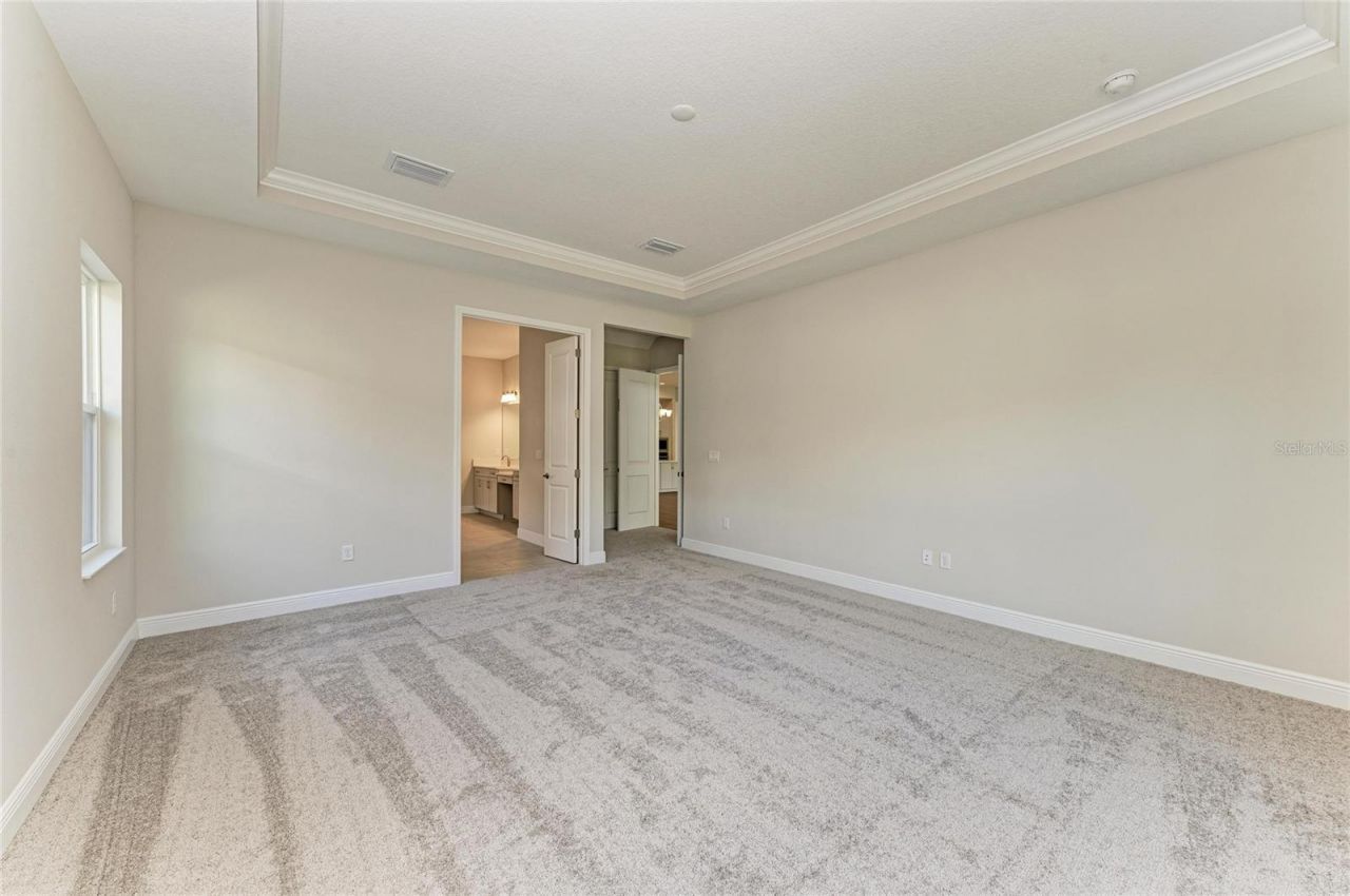 4630 Cedar Fog Ct Drive, Valrico, FL 33596 Photo