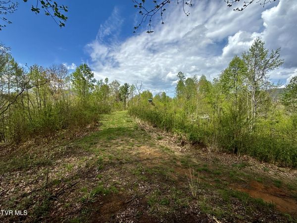 19/Ac Tbd Edith Gouge Rd, Unicoi, TN 37692