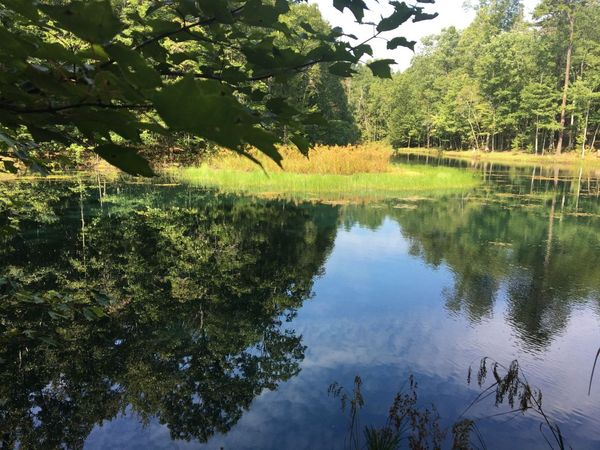 0 Savage Highland Dr, Coalmont, TN 37313