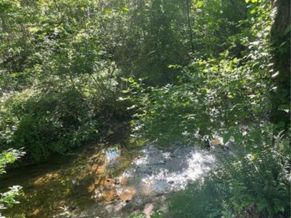 1584 Kennesaw Avenue, Nelson, GA 30151