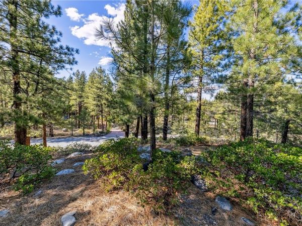 1205 Douglas Fir Drive, Reno, NV 89511