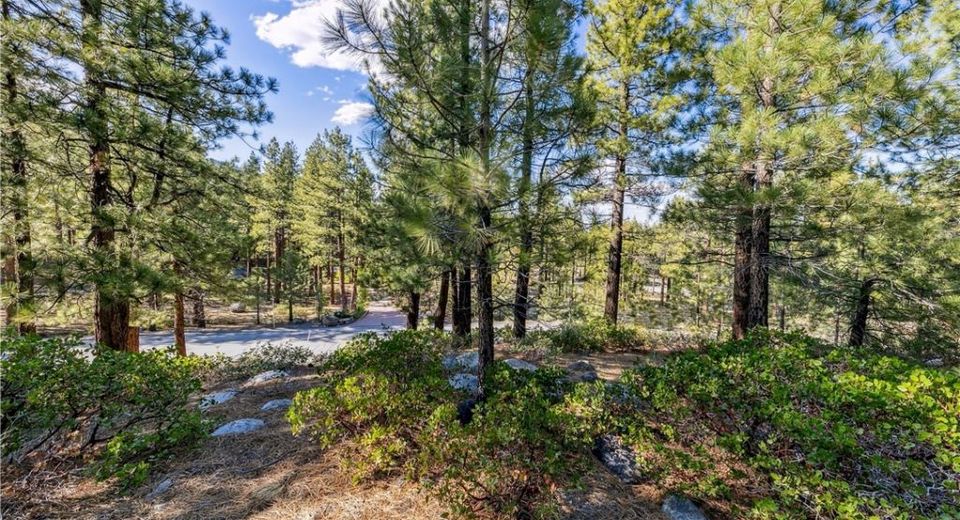 1205 Douglas Fir Drive, Reno, NV 89511 Photo