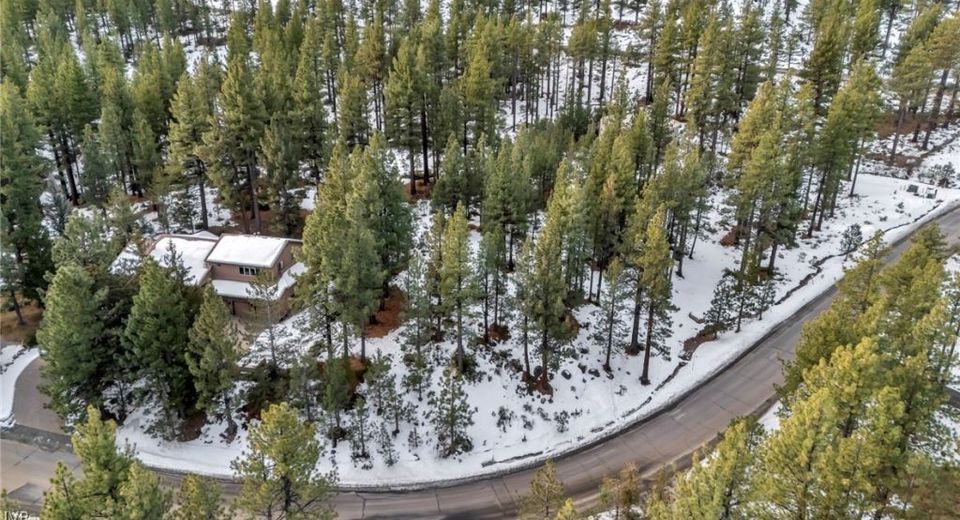 1205 Douglas Fir Drive, Reno, NV 89511 Photo