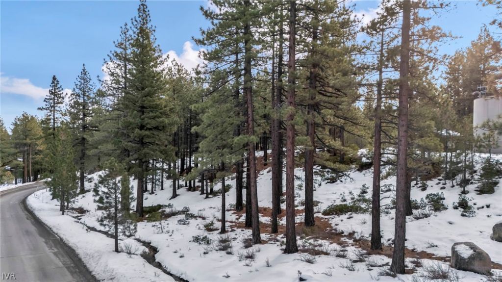 1205 Douglas Fir Drive, Reno, NV 89511 Photo