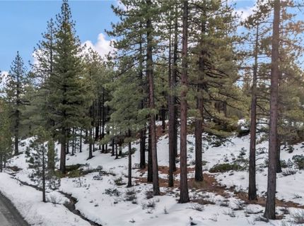 1205 Douglas Fir Drive, Reno, NV 89511 Photo