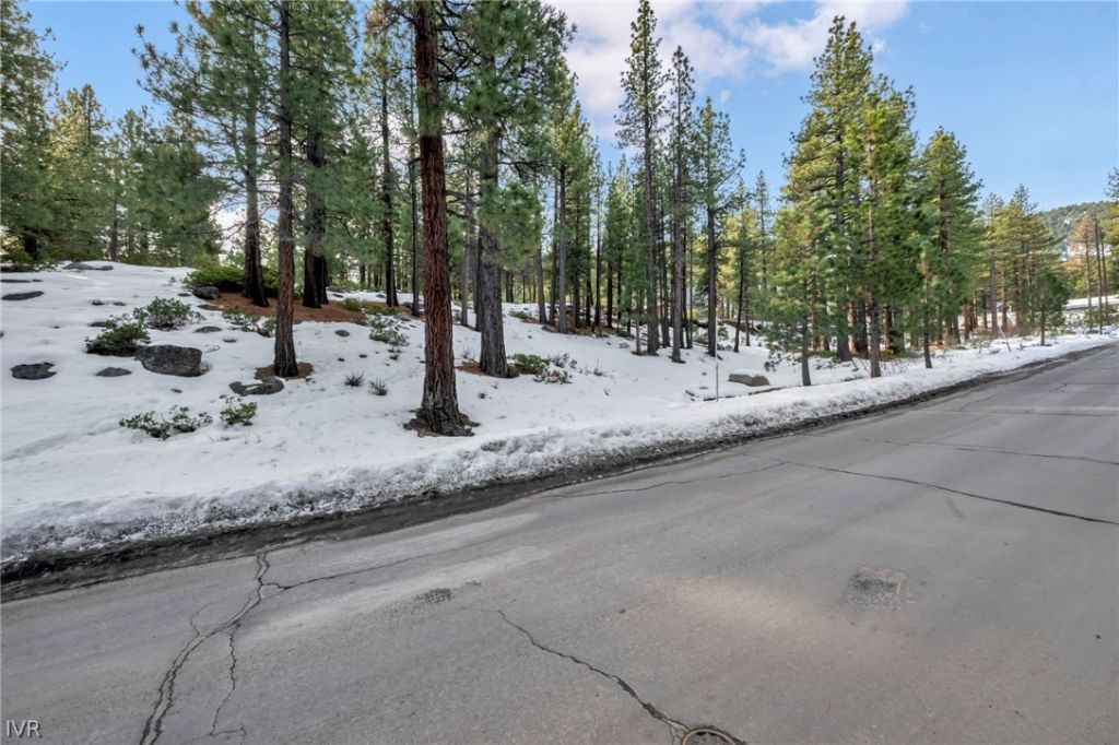 1205 Douglas Fir Drive, Reno, NV 89511 Photo