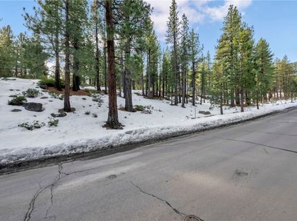 1205 Douglas Fir Drive, Reno, NV 89511 Photo