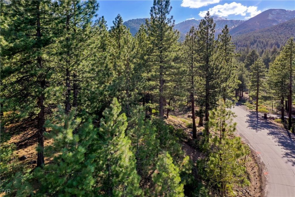 1205 Douglas Fir Drive, Reno, NV 89511 Photo