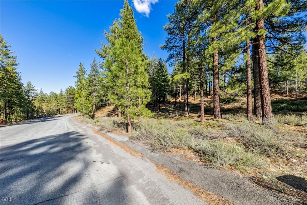 1205 Douglas Fir Drive, Reno, NV 89511 Photo