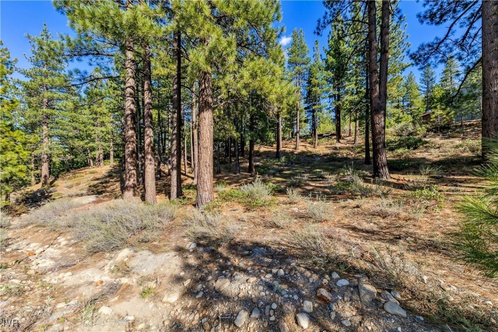 1205 Douglas Fir Drive, Reno, NV 89511 Photo