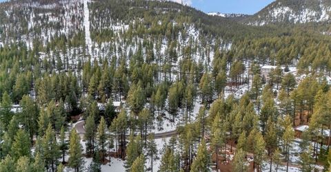 1205 Douglas Fir Drive, Reno, NV 89511 Photo