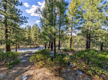 1205 Douglas Fir Drive, Reno, NV 89511 Photo