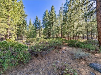 1205 Douglas Fir Drive, Reno, NV 89511 Photo