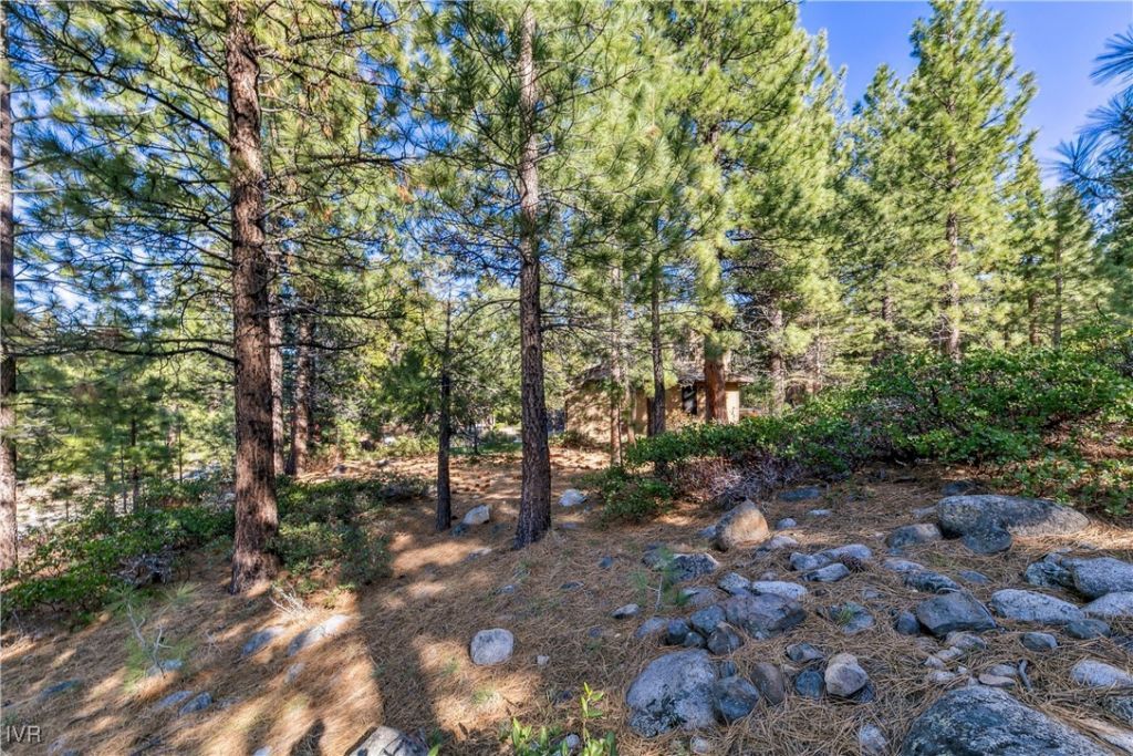 1205 Douglas Fir Drive, Reno, NV 89511 Photo