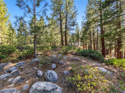 1205 Douglas Fir Drive, Reno, NV 89511 Photo