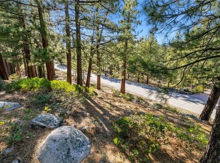 1205 Douglas Fir Drive, Reno, NV 89511 Photo