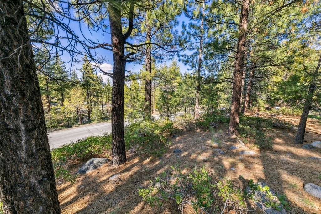 1205 Douglas Fir Drive, Reno, NV 89511 Photo