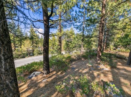 1205 Douglas Fir Drive, Reno, NV 89511 Photo