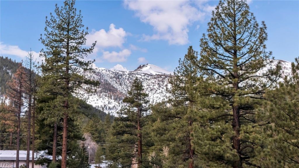 1205 Douglas Fir Drive, Reno, NV 89511 Photo