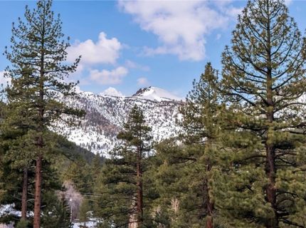 1205 Douglas Fir Drive, Reno, NV 89511 Photo