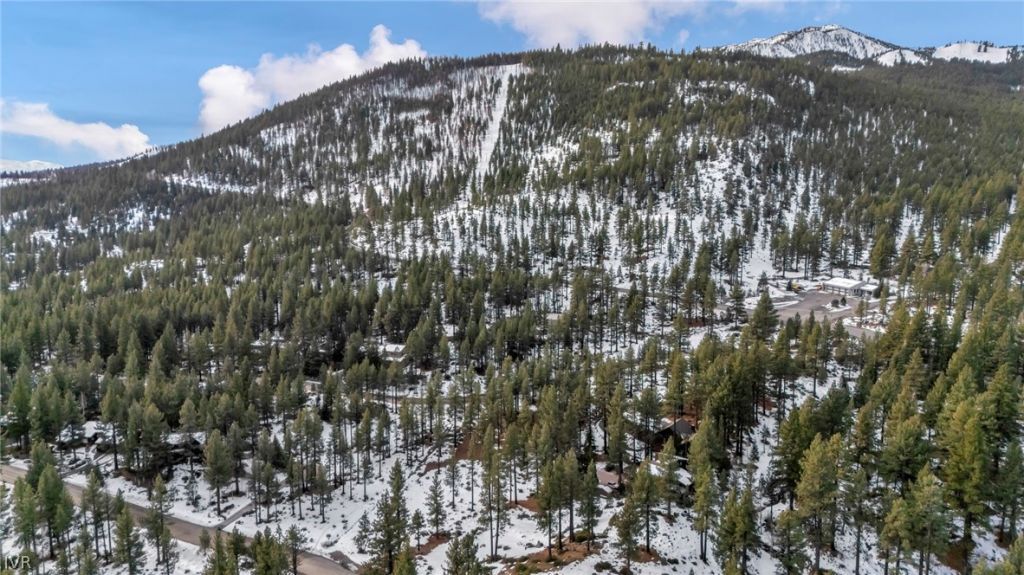 1205 Douglas Fir Drive, Reno, NV 89511 Photo