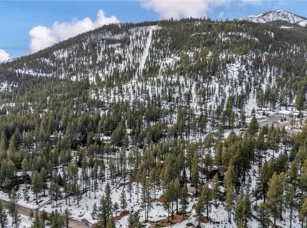 1205 Douglas Fir Drive, Reno, NV 89511 Photo