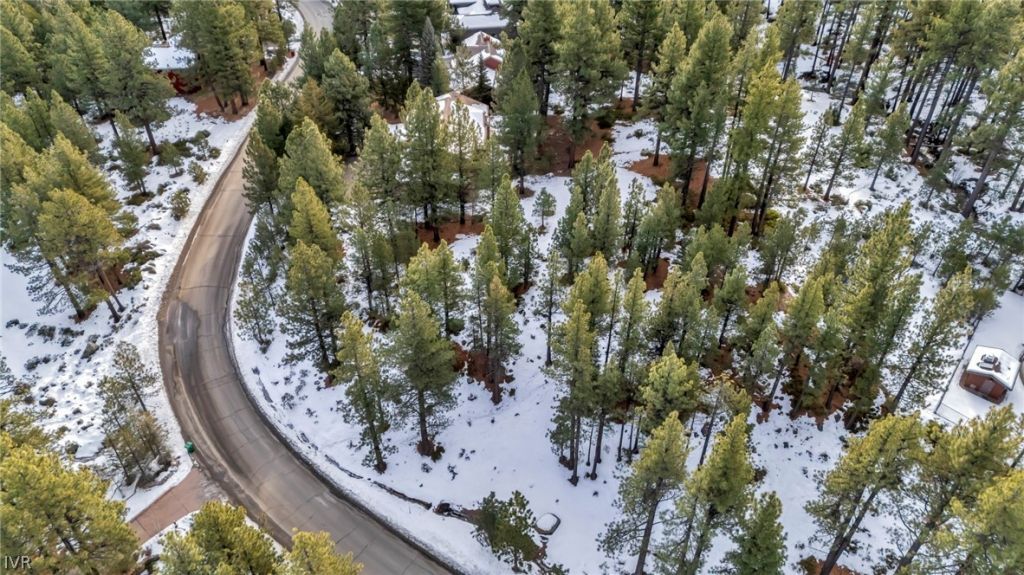 1205 Douglas Fir Drive, Reno, NV 89511 Photo