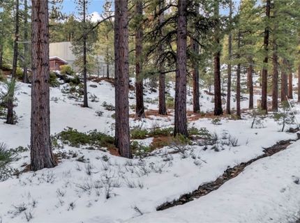 1205 Douglas Fir Drive, Reno, NV 89511 Photo