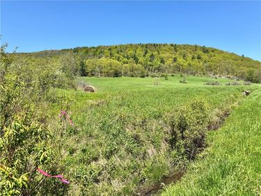 463 Cemetery Road, Cobleskill, NY 12043