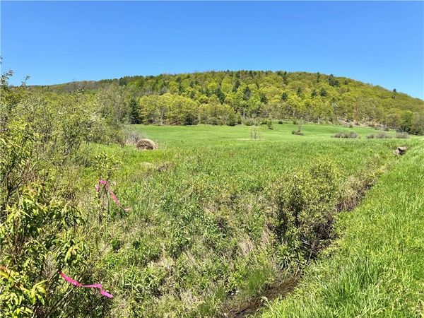 463 Cemetery Road, Cobleskill, NY 12043
