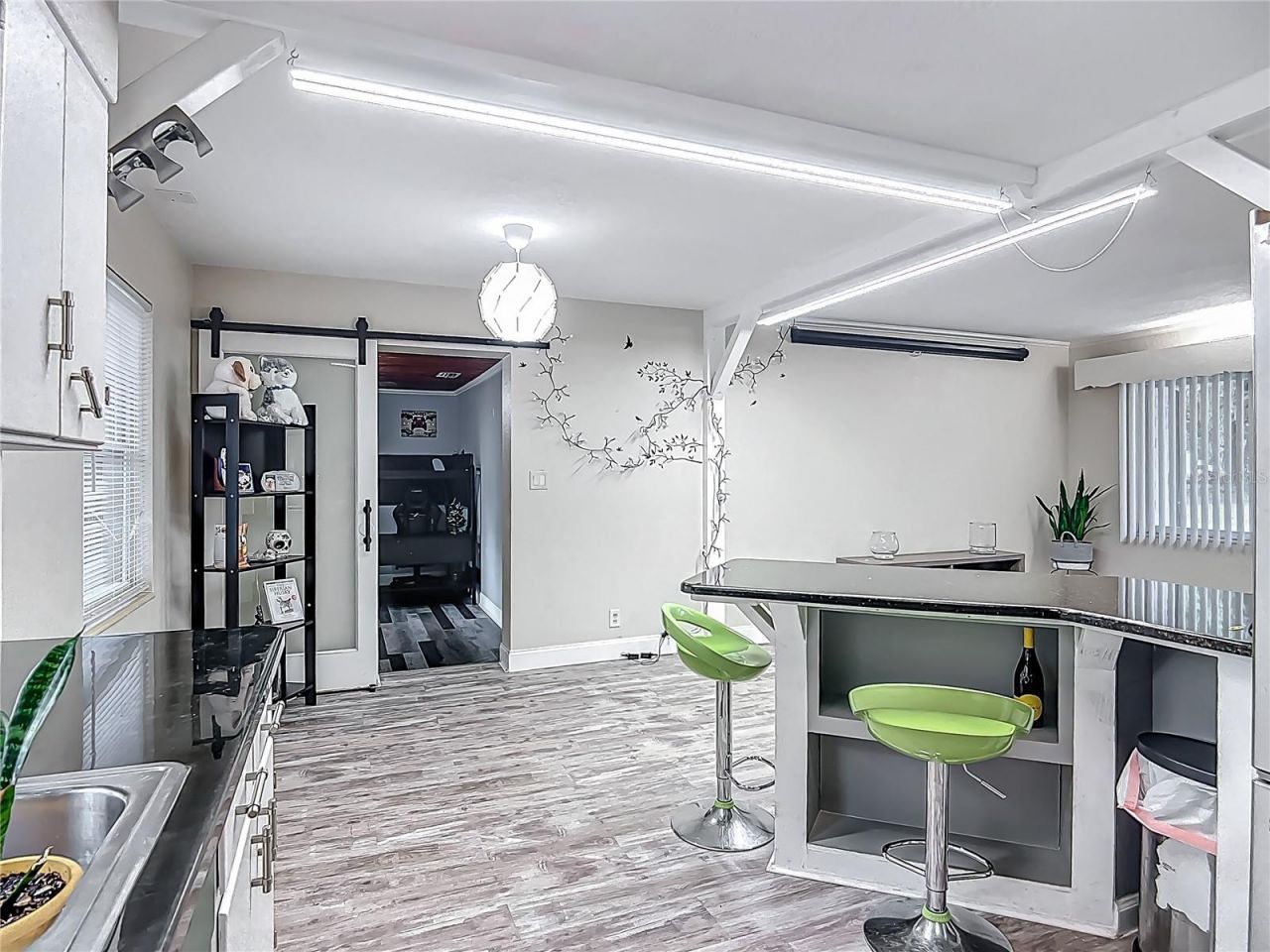 11763 SE Us Highway 301, Belleview, FL 34420 Photo