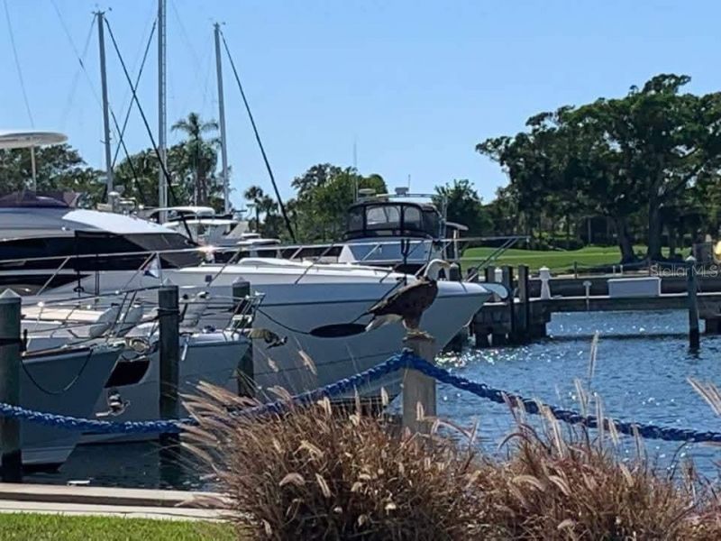 2600 Harbourside Drive, Unit O-11, Longboat Key, FL 34228 Photo