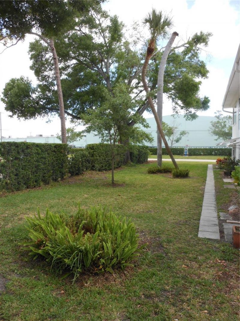 138 36th Avenue N, Unit 206W, Saint Petersburg, FL 33704 Photo