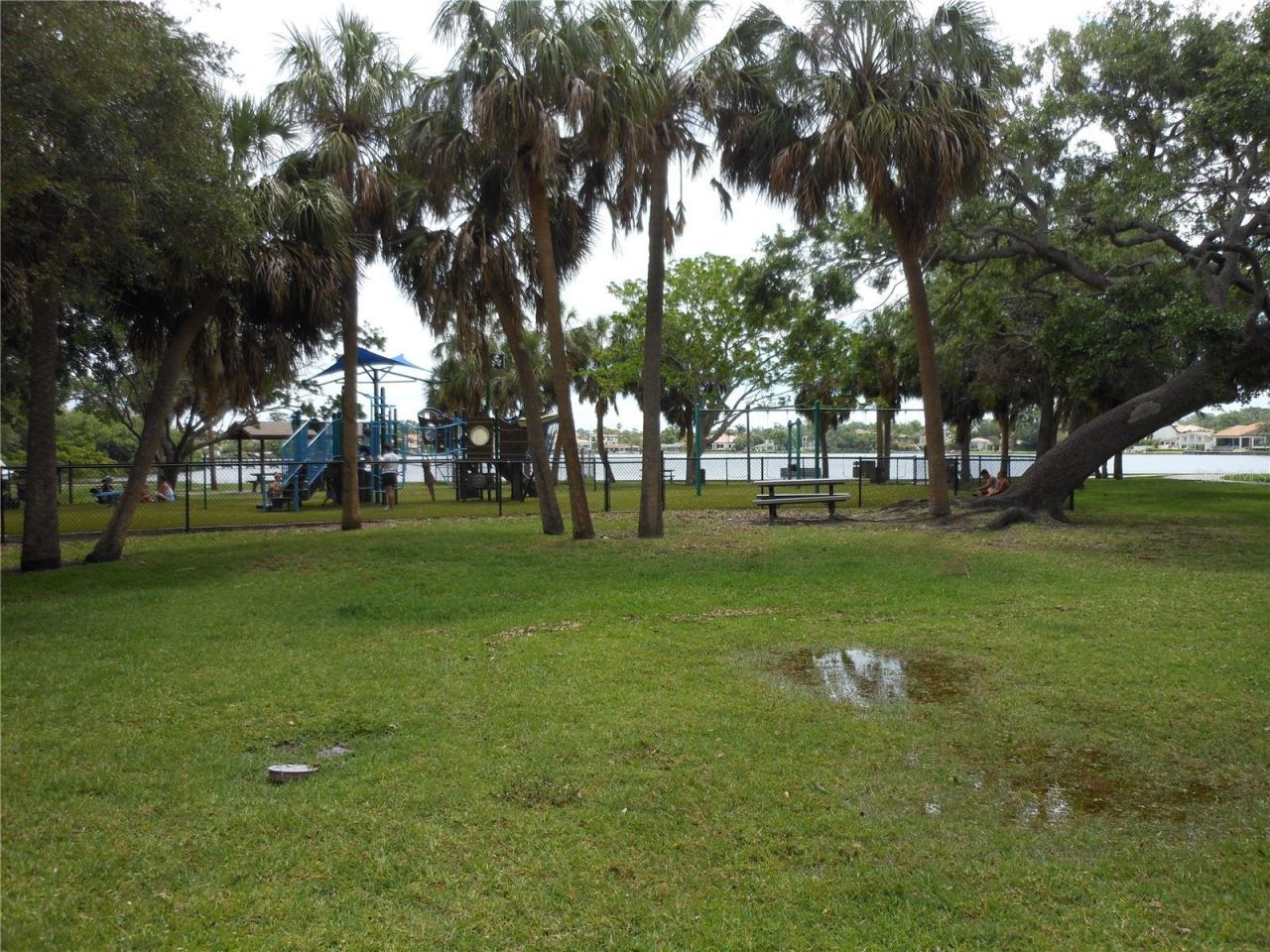 138 36th Avenue N, Unit 206W, Saint Petersburg, FL 33704 Photo