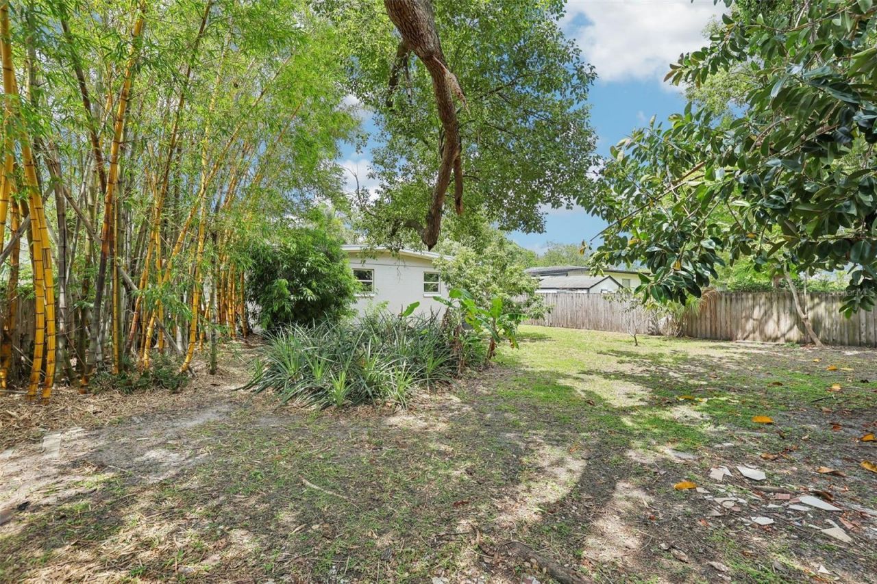 318 E Jersey Street, Orlando, FL 32806 Photo
