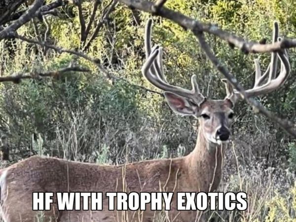 8500 County Road 121, Cross Cut, TX 76443