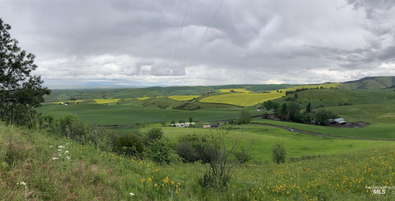 Nka Raven Dr., Culdesac, ID 83524 Main Photo