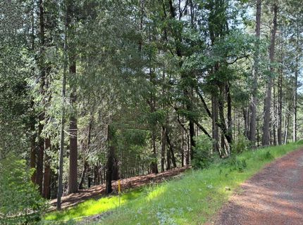 5662 Daisy Cir, Pollock Pines, CA 95726 Photo