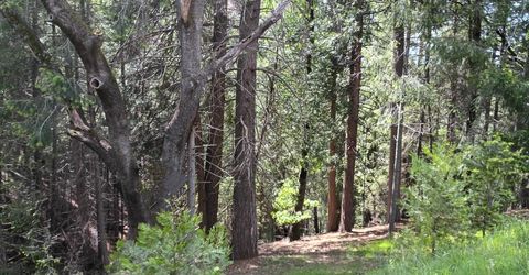 5662 Daisy Cir, Pollock Pines, CA 95726 Photo