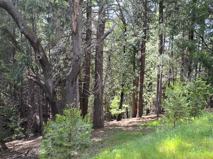 5662 Daisy Cir, Pollock Pines, CA 95726 Photo