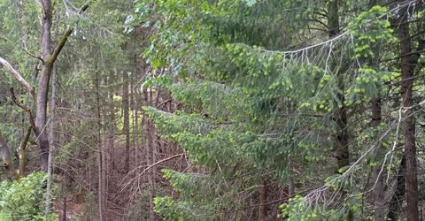 5662 Daisy Cir, Pollock Pines, CA 95726 Photo
