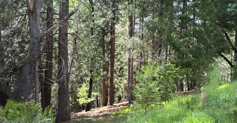 5662 Daisy Cir, Pollock Pines, CA 95726 Photo