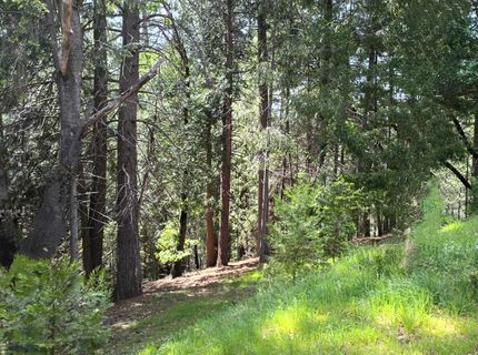 5662 Daisy Cir, Pollock Pines, CA 95726 Photo