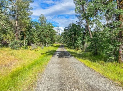 Donkey Mine Rd, Oak Run, CA 96069 Photo