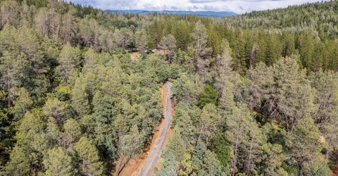Donkey Mine Rd, Oak Run, CA 96069 Photo