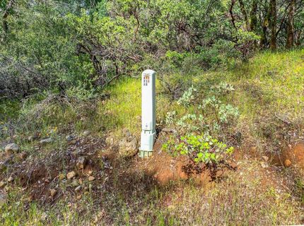 Donkey Mine Rd, Oak Run, CA 96069 Photo
