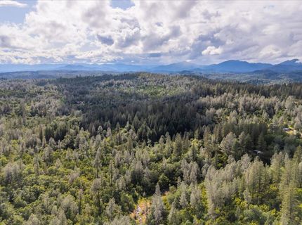 Donkey Mine Rd, Oak Run, CA 96069 Photo