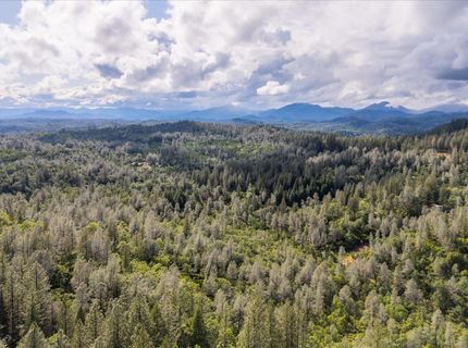 Donkey Mine Rd, Oak Run, CA 96069 Photo